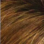 Amber Wig by Envy | Synthetic (Lace Front Mono Top)