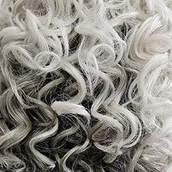 Born To Shine Wig by Raquel Welch | Synthetic Lace Front