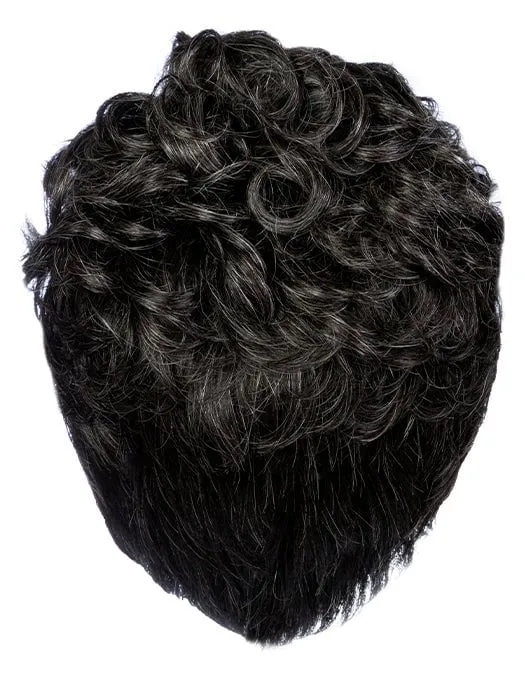 Dignified | Synthetic Lace Front Wig (Mono Top)
