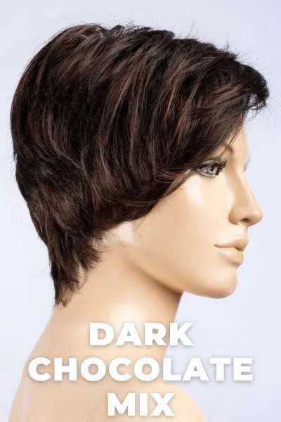 Ellen Wille Wigs - First