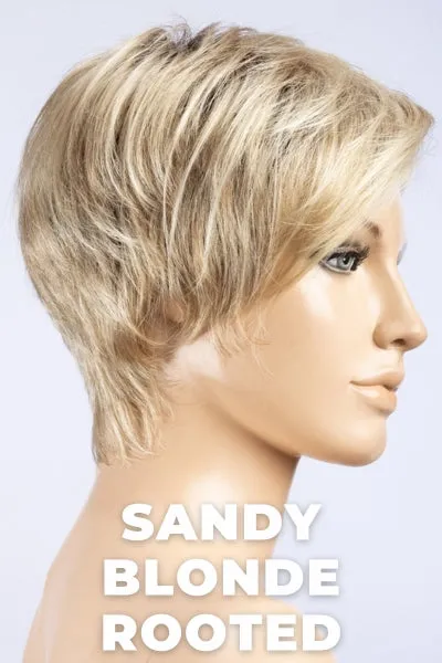 Ellen Wille Wigs - First