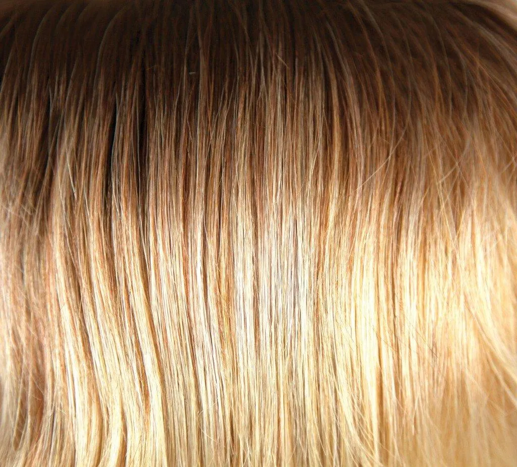 Evanna Wig by Amore | Synthetic (Lace Front Mono Part)