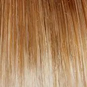 Full Finesse Wig by Gabor | Lace Front Monofilament