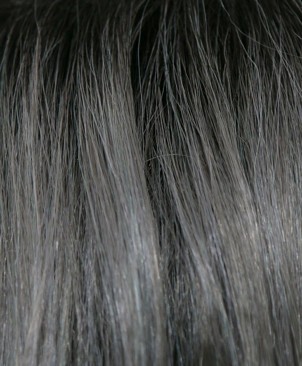 India Wig by Rene of Paris | Synthetic (Lace Front Cap)