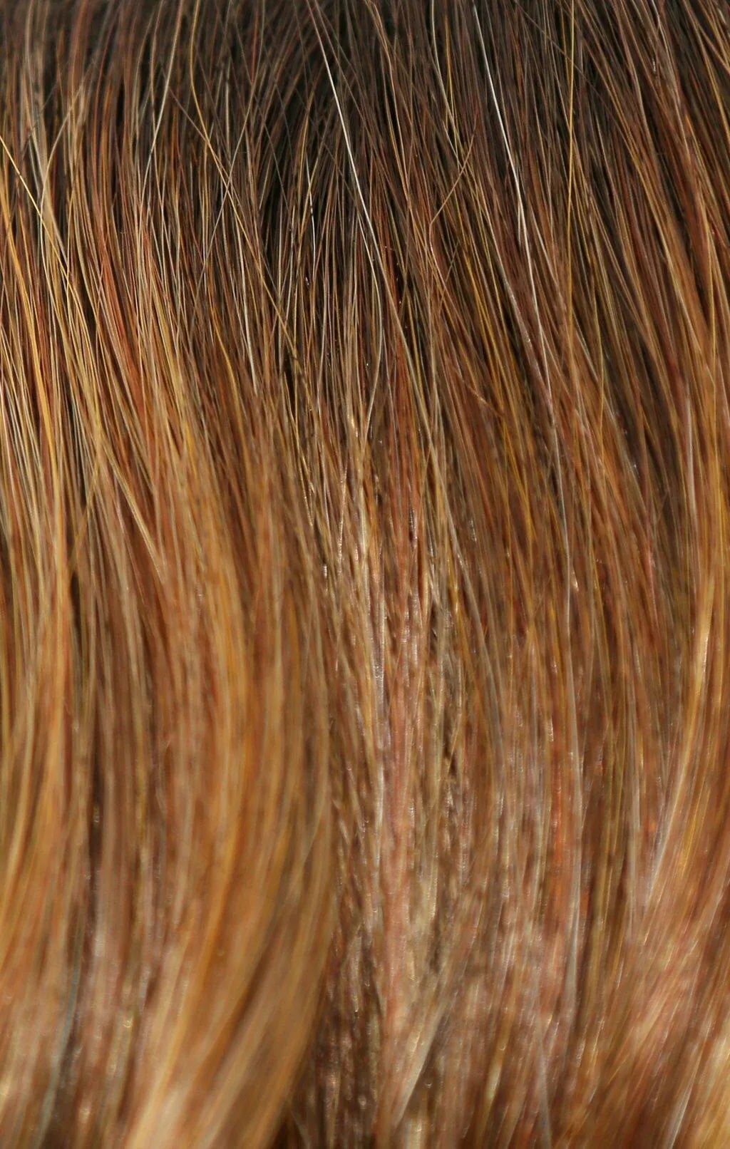 India Wig by Rene of Paris | Synthetic (Lace Front Cap)
