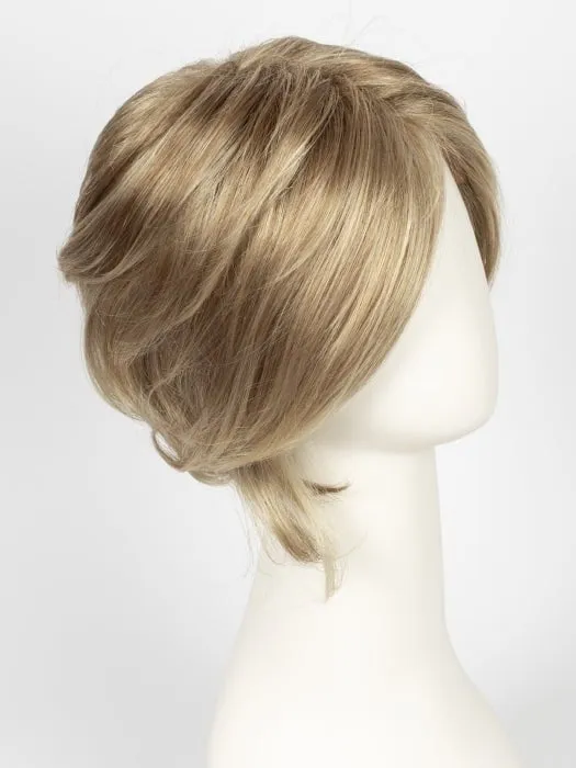 Sheer Elegance | Synthetic Lace Front Wig (Basic Cap)