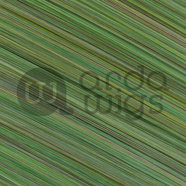 Short Wefts CLASSIC CL-001 to CL-050